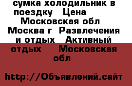 сумка холодильник в поездку › Цена ­ 400 - Московская обл., Москва г. Развлечения и отдых » Активный отдых   . Московская обл.